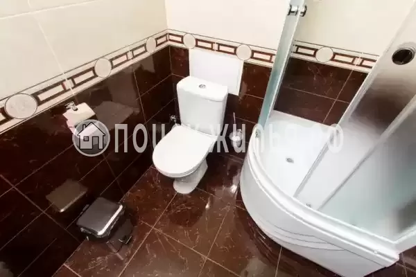 «Золотая подкова» «Золотая подкова»