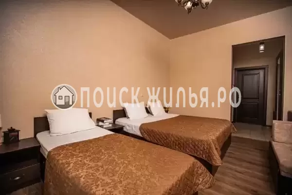 «Золотая подкова» «Золотая подкова»