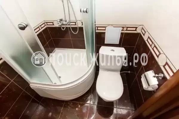 «Золотая подкова» «Золотая подкова»