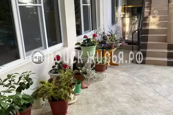 «На кольцевой» «На кольцевой»