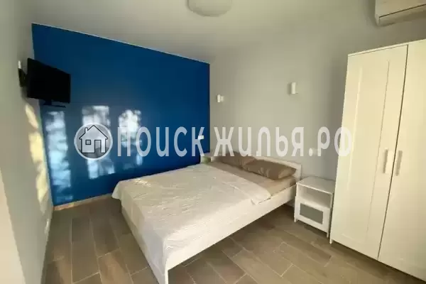 «Под соснами»