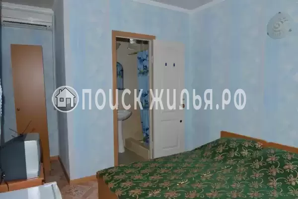 «София» «София»