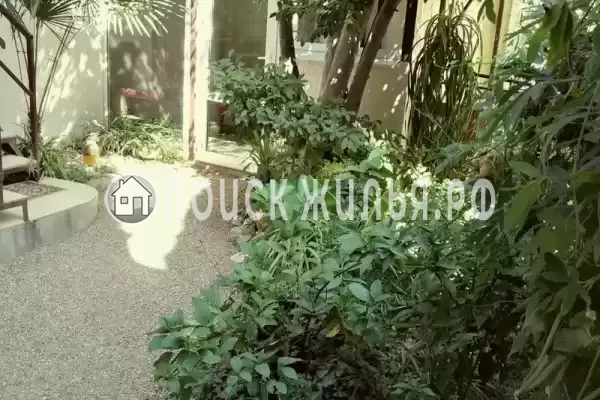 «Солнечная Алушта» «Солнечная Алушта»