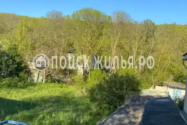 «Елена» «Елена»