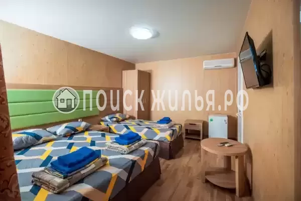 «Византия плюс» «Византия плюс»