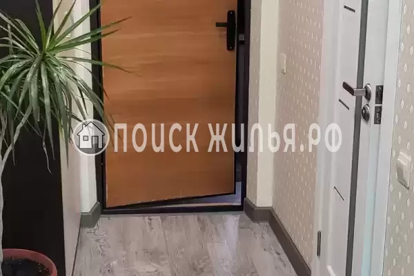 «Немо» «Немо»