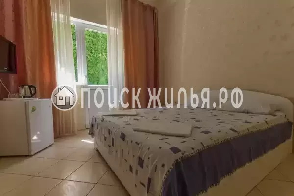 «Спартак» «Спартак»