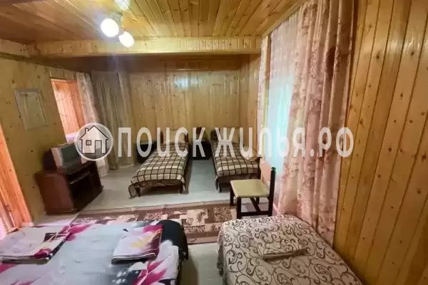 «Виноград»