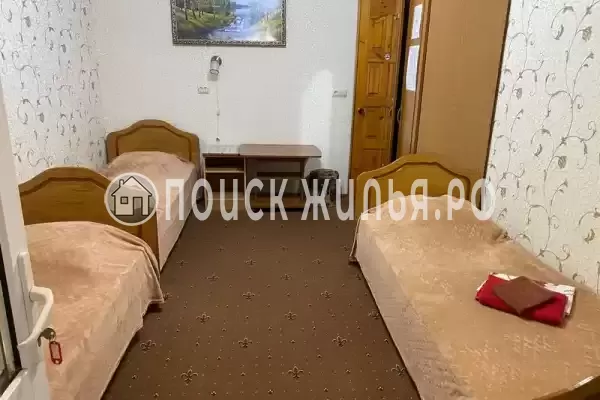 «Зеленый дворик» «Зеленый дворик»