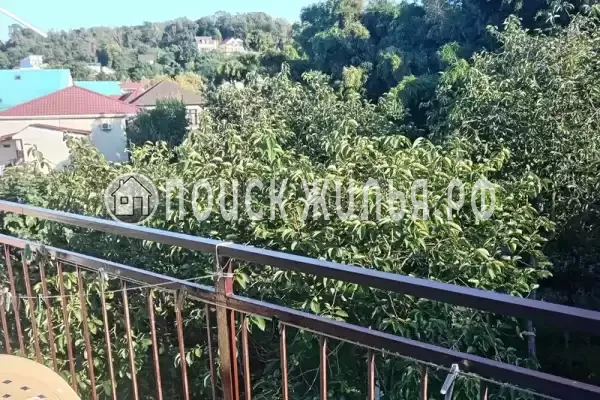 «Оазис на молодежной»