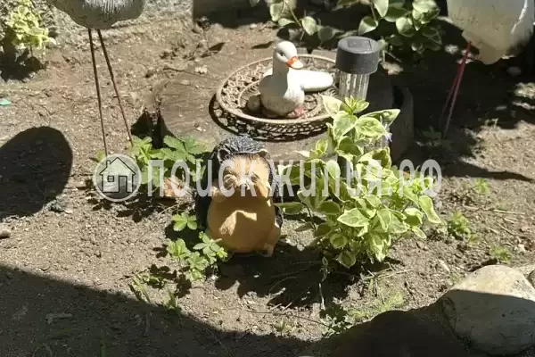 Гостевой дом «Морской прибой» Гостевой дом «Морской прибой»