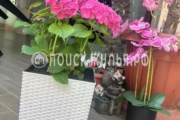 Гостевой дом «Морской прибой» Гостевой дом «Морской прибой»