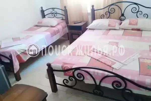 «Aleksa» «Aleksa»