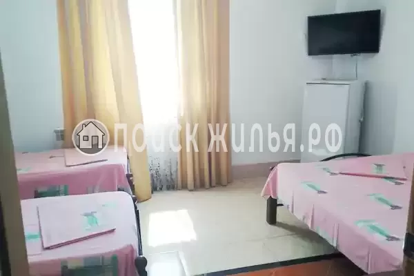 «Aleksa» «Aleksa»