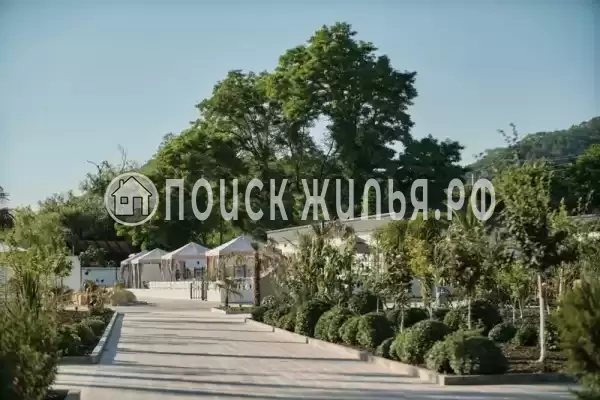 «Черный кот»