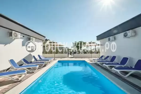 «Черный кот»