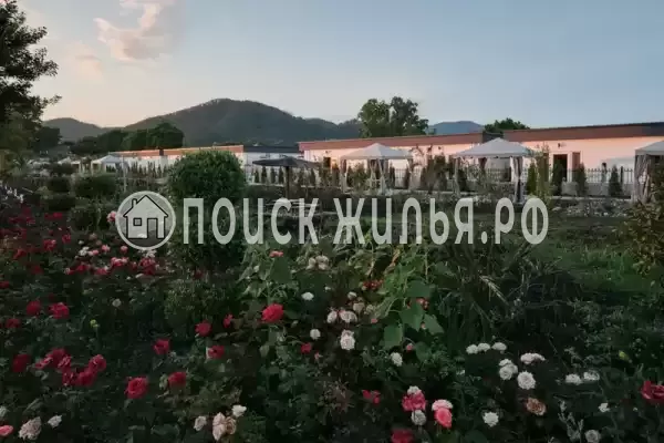 «Черный кот»