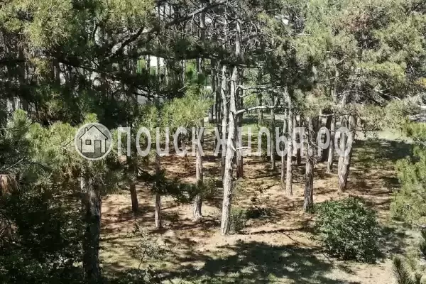 «Артур» «Артур»