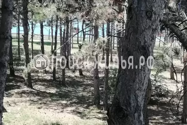 «Артур» «Артур»