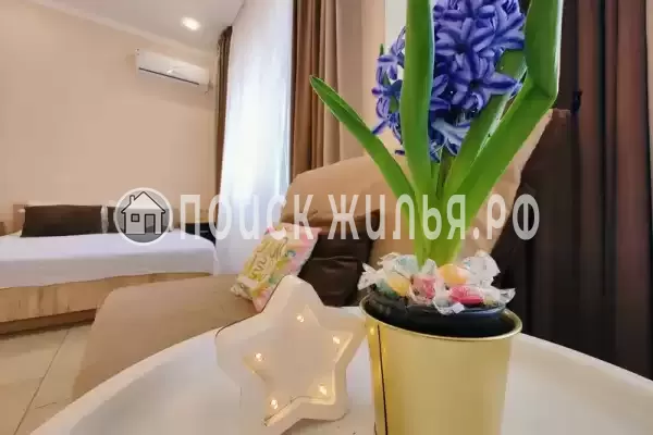 «Центральная» «Центральная»