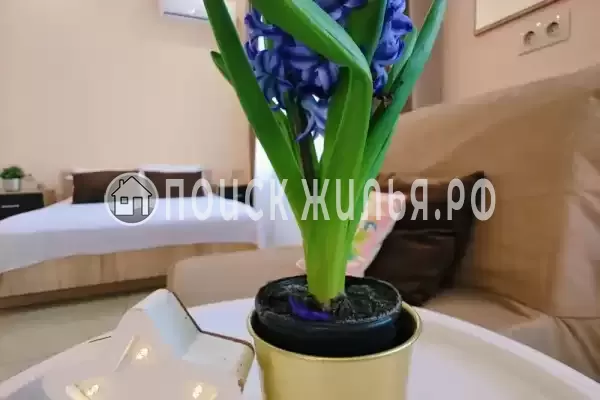 «Центральная» «Центральная»