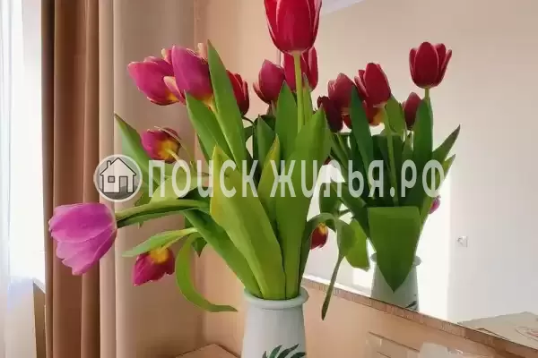 «Центральная» «Центральная»