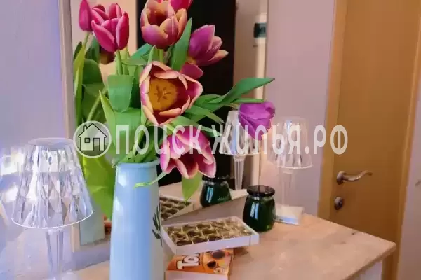 «Центральная» «Центральная»