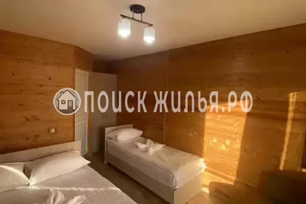 «Лиана» «Лиана»