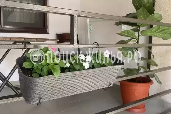 Гостевой дом «Вероника» Гостевой дом «Вероника»