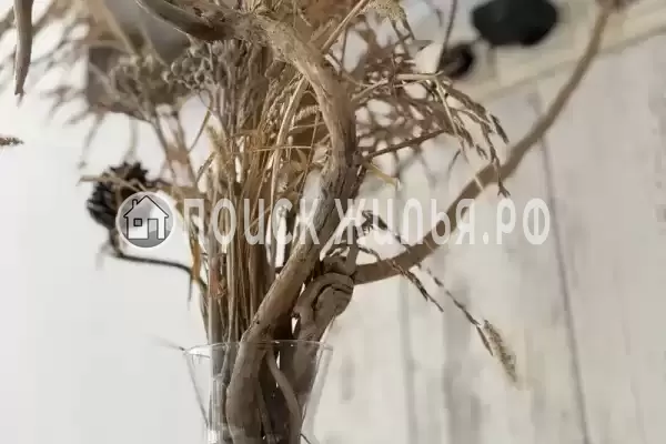 Гостевой дом «Жемчужина взморья» Гостевой дом «Жемчужина взморья»