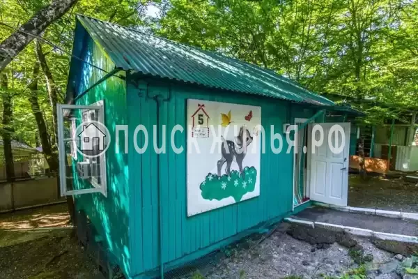 «Экспресс»