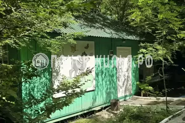 «Экспресс»