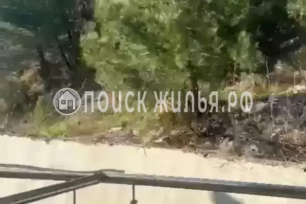 «Мелия family»