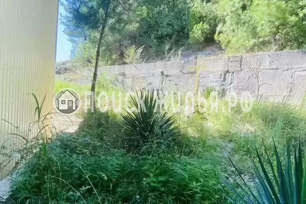 «Мелия family»