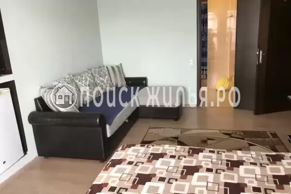 «Шафран» «Шафран»