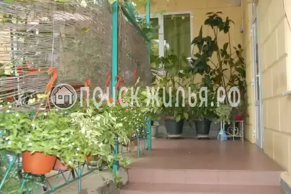 «Фламинго»