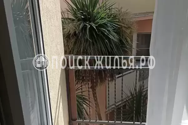 «Маргарита» «Маргарита»