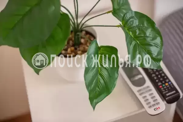 «Марьина роща»