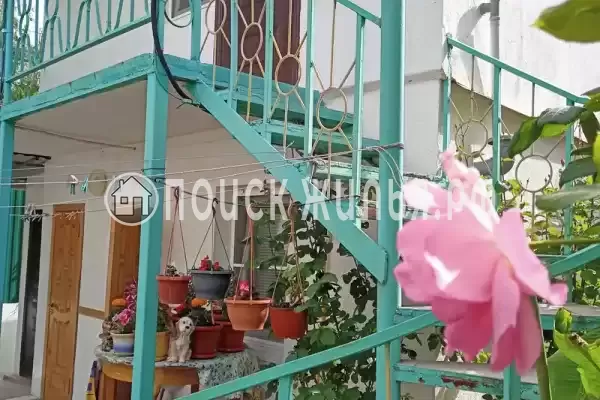 «Агойский бриз»