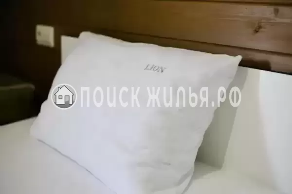 Отель «Lion»