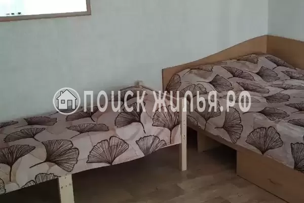 «Гортензия»