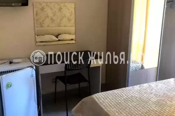 «Kivi»