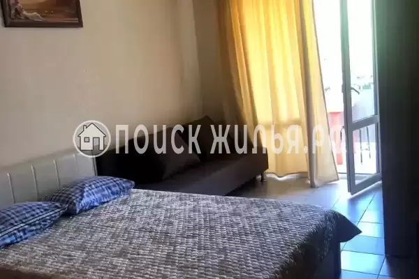 «Kivi»