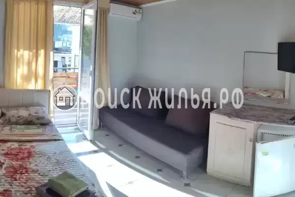 «Kivi»