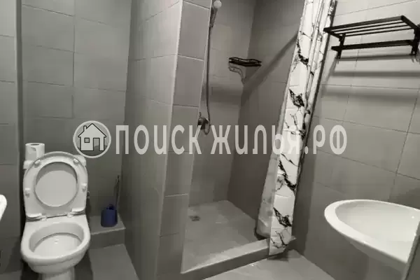 «Kivi»