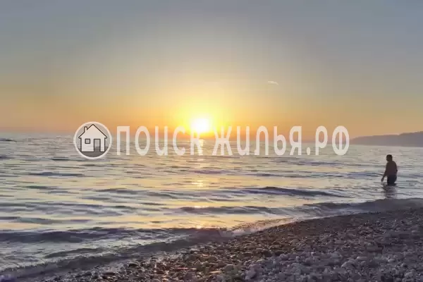 Гостевой дом «Две пальмы» Гостевой дом «Две пальмы»