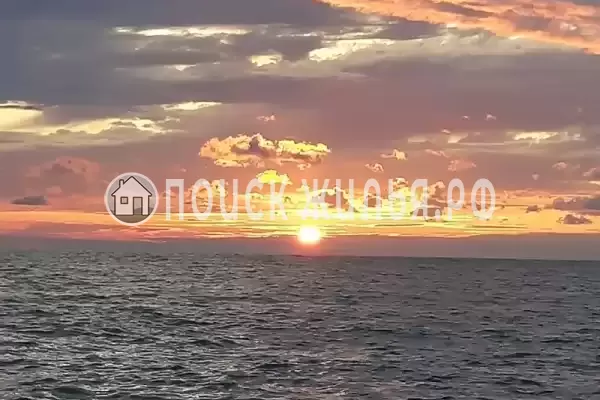 Гостевой дом «Две пальмы» Гостевой дом «Две пальмы»