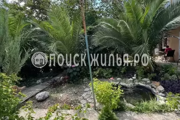 Гостевой дом «Две пальмы» Гостевой дом «Две пальмы»