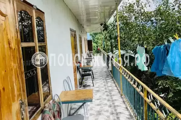 Гостевой дом «Две пальмы» Гостевой дом «Две пальмы»