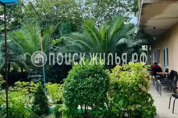 Гостевой дом «Две пальмы» Гостевой дом «Две пальмы»